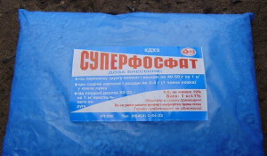 Фосфорні добрива – для швидкого росту і дозрівання + Відео