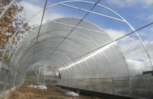 Парники взимку: як підготувати грунт і дезінфікувати грунт від хвороб + відео