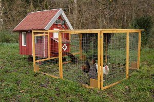 Як побудувати вольєр для курей своїми руками?