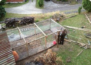 Як побудувати вольєр для курей своїми руками?