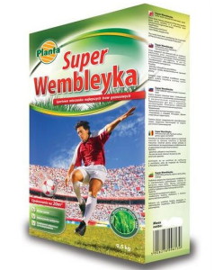 Спортивний газон – грамотна підготовка майданчика для спорту + відео