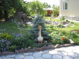 Гарні клумби на вашій ділянці – від задуму до втілення + Відео