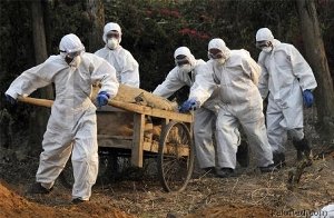 Авітаміноз А відбирає сили і зір у курей