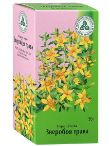 Звіробій – лікувальні властивості і протипоказання, рецепти + відео