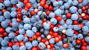 Компот з чорниць на зиму – смачні заготовки, прості рецепти + Відео