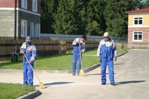 Прибирання дачної ділянки від сміття – які способи існують? + відео