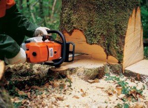 Професійні бензопили – чи варто витрачати гроші? + відео