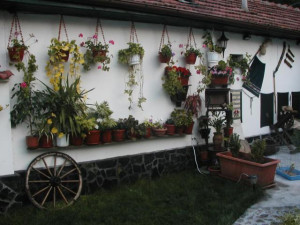 Ландшафтний дизайн сільського будинку – простота, природність + Відео