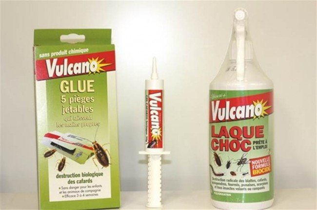 Гель від тарганів – найефективніший засіб проти комах