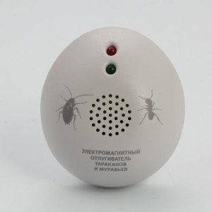 Чого бояться мурахи: захист від мурах пшоном, лимоном, перцем і маслом