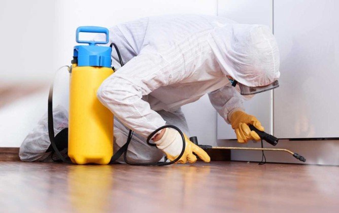 Тетрикс від клопів: де купити, відгуки, інструкція