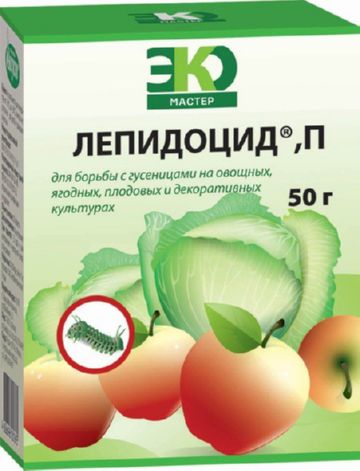 Ріпаковий пильщик – заходи боротьби з головним шкідником капустяних полів Ріпаковий пильщик – заходи боротьби з головним шкідником капустяних полів