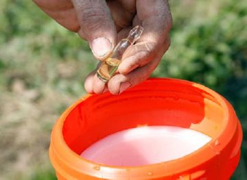 «Гуапсін»: основні відомості про препарат