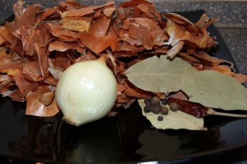 Клоп щитник: опис комахи і способи боротьби з шкідником