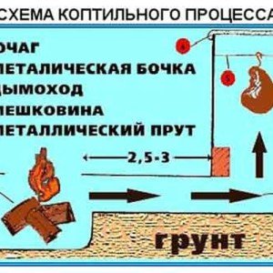 Як побудувати коптильню з цегли   фото та відео