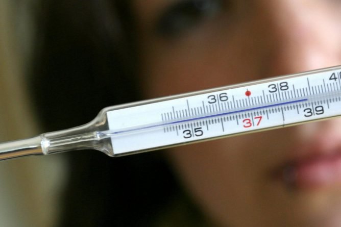 Чим небезпечні укуси комарів та їх види