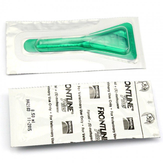 Краплі від бліх: які правильно вибрати для кішки?