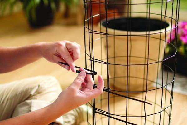 Вертикальні клумби для петунії своїми руками: варіанти оформлення, посадка і подальший догляд за рослиною