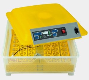 Китайські автоматичні інкубатори: технічні характеристики, виробники і ціни