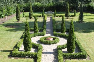 Туя Колумна: садимо ідеальний сорт для ландшафтних композицій