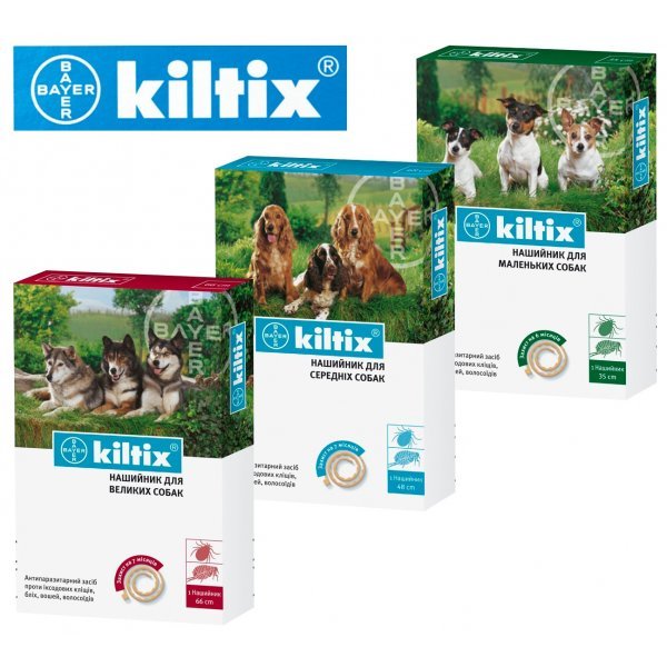 Нашийник від бліх для кішок і собак – огляд кращих пропозицій