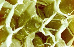 Плюси і мінуси коркової підлоги, технологія виготовлення, способи укладання