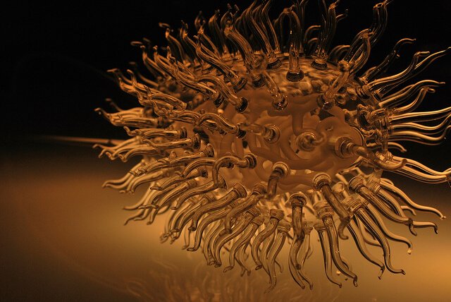 Як вибрати бактерії для септиків і вигрібних ям