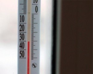 Чого бояться клопи: дієва профілактика в квартирі