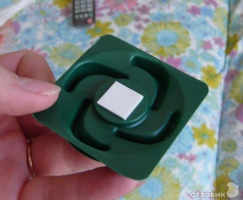 Домашні мурахи – як позбутися від рудих і чорних шкідників