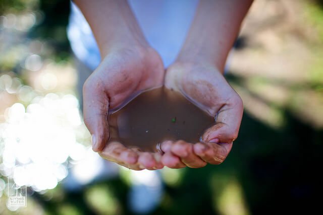 Який вибрати фільтр для води з свердловини, водоочищення і СЕС