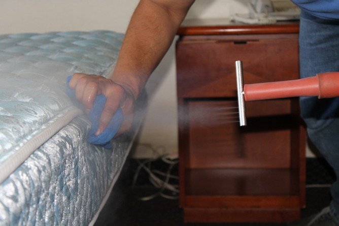 Як потруїти домашніх клопів   ефективні методи