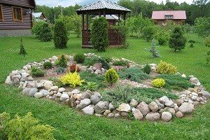 Малі елементи великого дизайну — карликові туї: особливості висадки на ділянці і опис популярних сортів