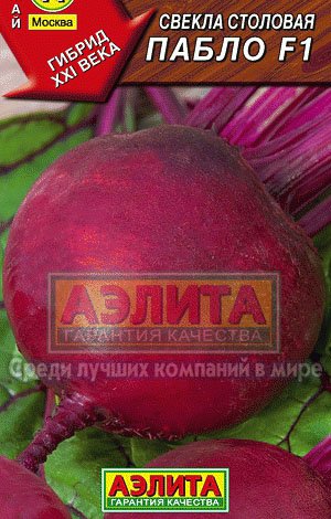 Як правильно вибрати насіння буряку: рекомендації по підбору і підготовці