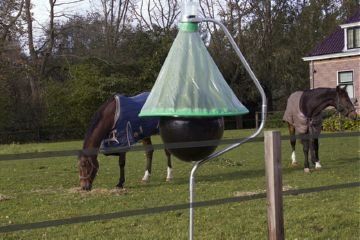 Засіб від гедзів: як знищити паразитів раз і назавжди