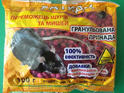 Як боротися з щурами в курнику найкращі засоби і методи Як боротися з щурами в курнику найкращі засоби і методи