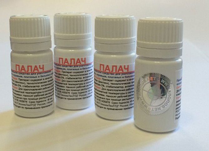 Кат від клопів: відгуки, інструкція, де купити