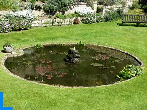 Ставок на дачі своїми руками   як зробити штучний ставок або струмок