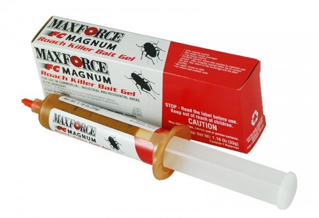 Домашні таргани й ефективні методи боротьби з ними