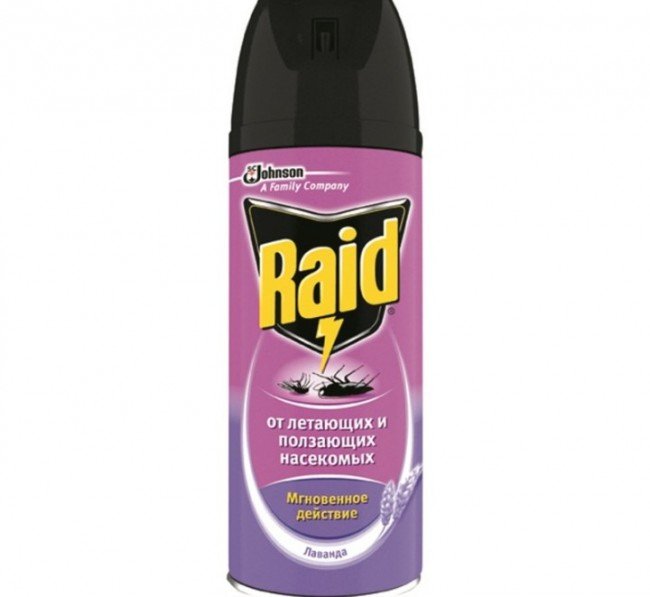 Як позбавитися від блох — ефективні та перевірені способи