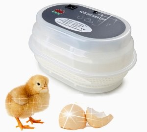 Китайські автоматичні інкубатори: технічні характеристики, виробники і ціни