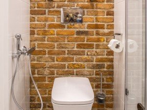 Гігієнічний душ для унітазу зі змішувачем і біде: ціна та інструкція монтажу