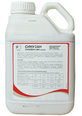 Як позбутися від клопів у квартирі – народні методи боротьби