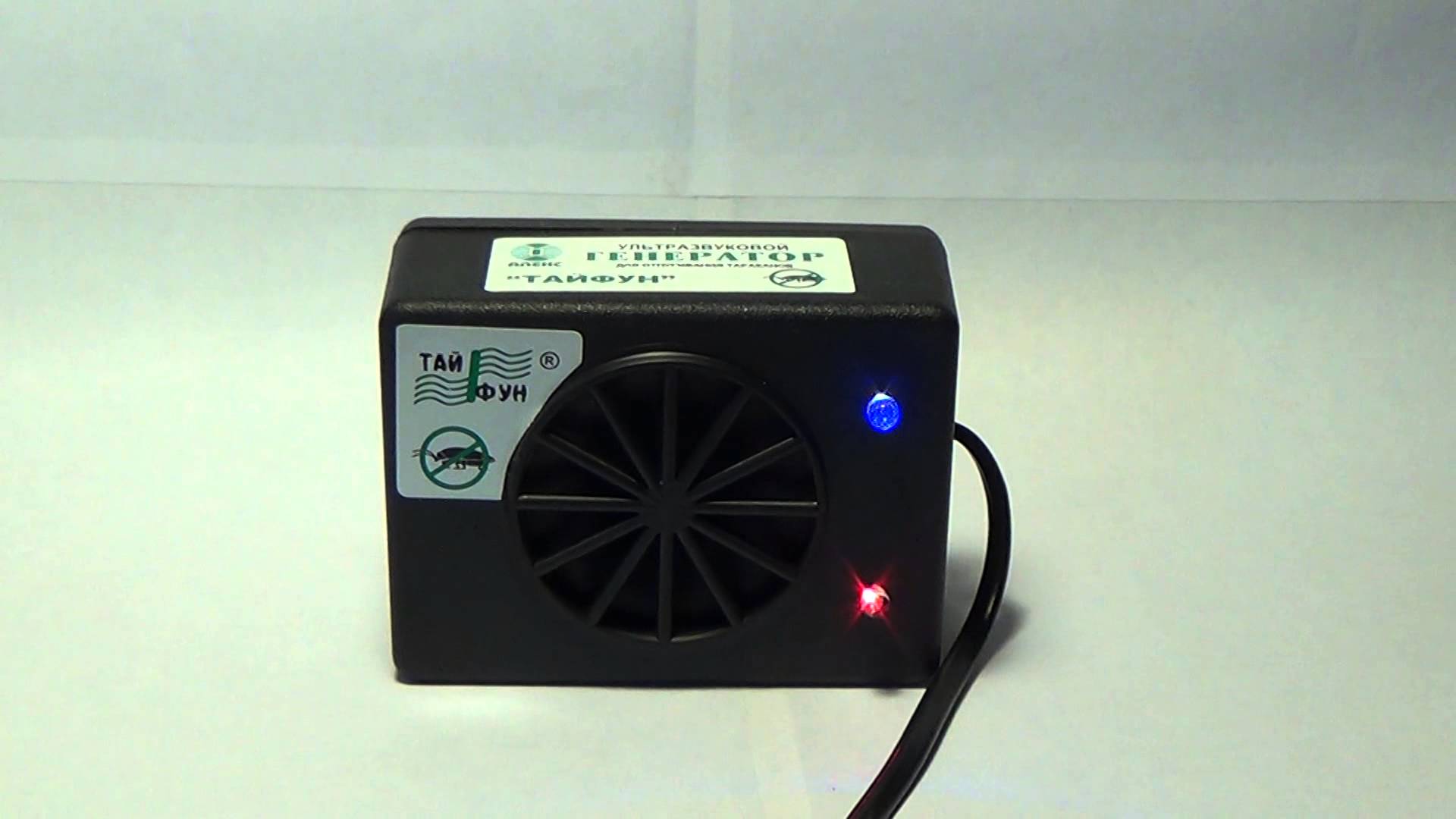 Засіб проти щурів і мишей   яке використовувати в будинку, відгуки покупців