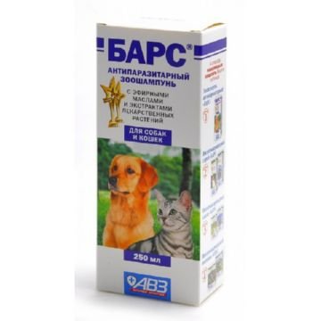 Як вибрати підходящий шампунь для кішок і кошенят