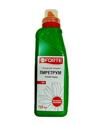 Народне засіб від тарганів: як позбавляються від шкідників перевіреними способами і рецептами