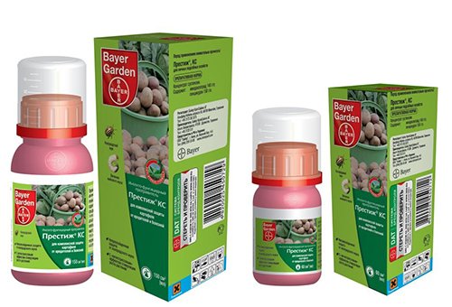 Обробка картоплі перед посадкою від колорадського жука – методи і засоби