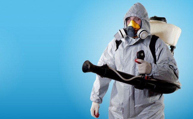 Блохи в будинку — радикальні засоби від паразитів