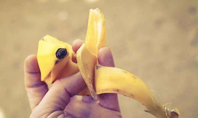 Кошти від укусів комарів: чим мазати щоб укус не свербів