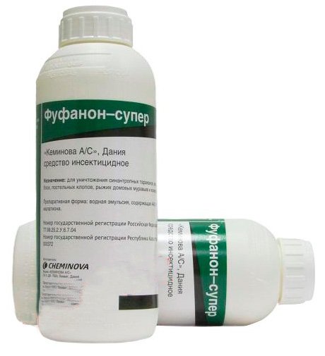 Фуфанон від клопів: відгуки, інструкція, де купити Фуфанон від клопів: відгуки, інструкція, де купити