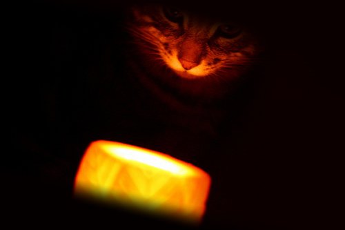 Змова від клопів – перевірений часом спосіб позбавлення від кровососів